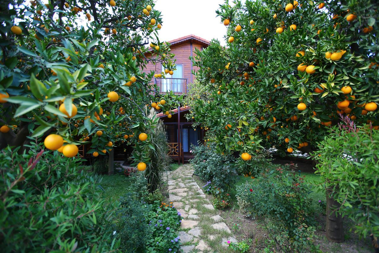 Bahce Villa Çıralı Exterior foto