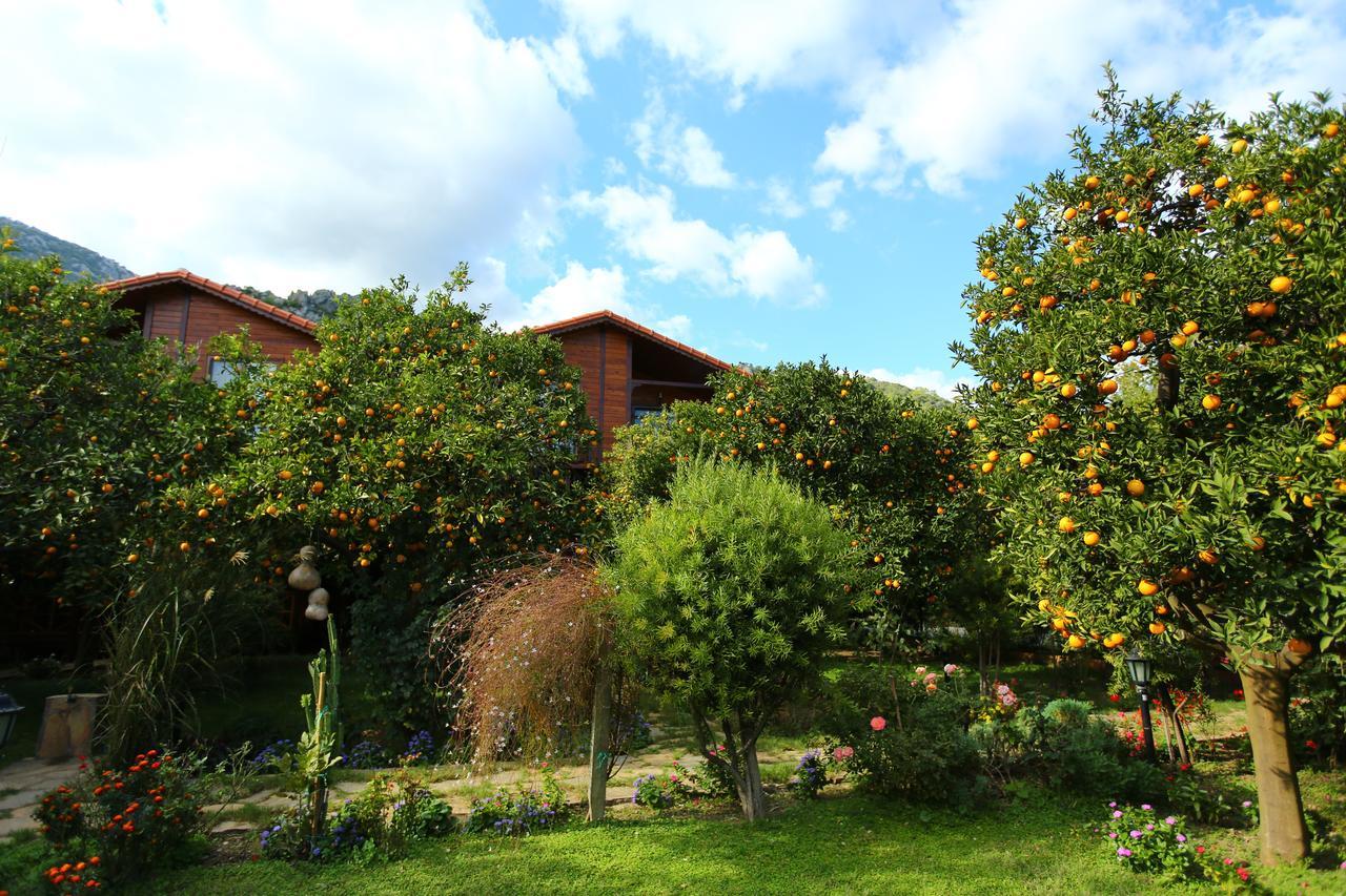 Bahce Villa Çıralı Exterior foto